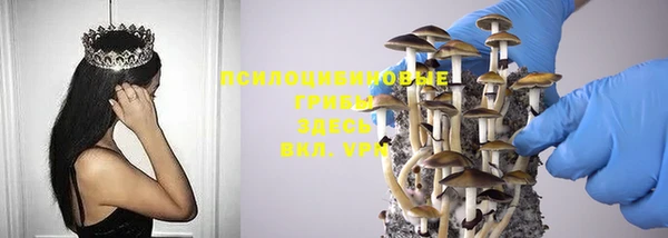 хмурый Вязники