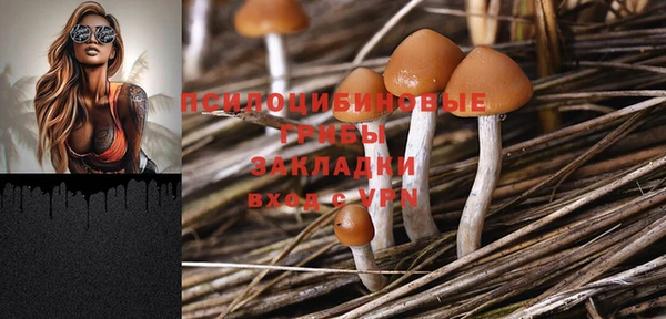 прущая мука Вязьма
