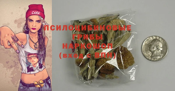 хмурый Вязники